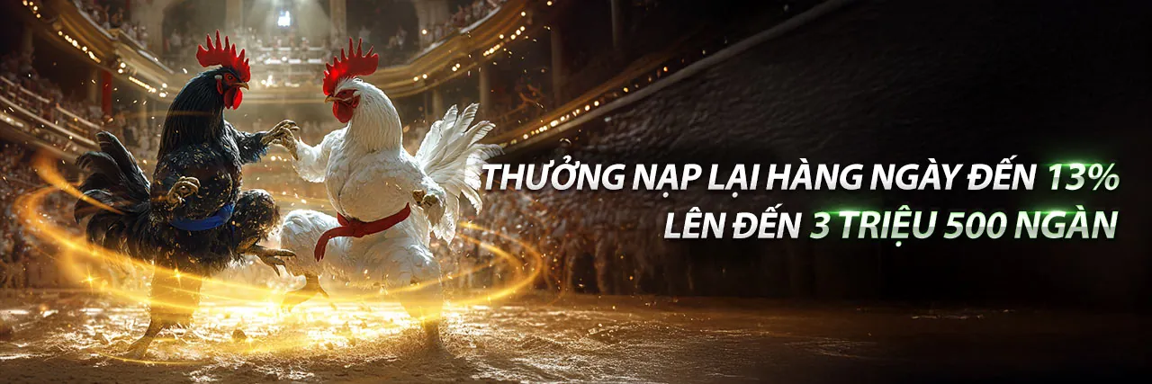 Sân đá gà trực tuyến VWbet